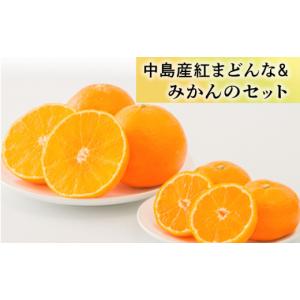 ふるさと納税 果物類 みかん 愛媛県 松山市 「中島産紅まどんな」と「中島みかん」のセット （ 紅まどんな 柑橘 フルーツ まどんな みかん 愛媛 みかん 紅まど…