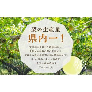 ふるさと納税 果物類 ぶどう 福岡県 筑後市 ...の詳細画像2