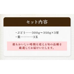 ふるさと納税 果物類 ぶどう 福岡県 筑後市 ...の詳細画像4