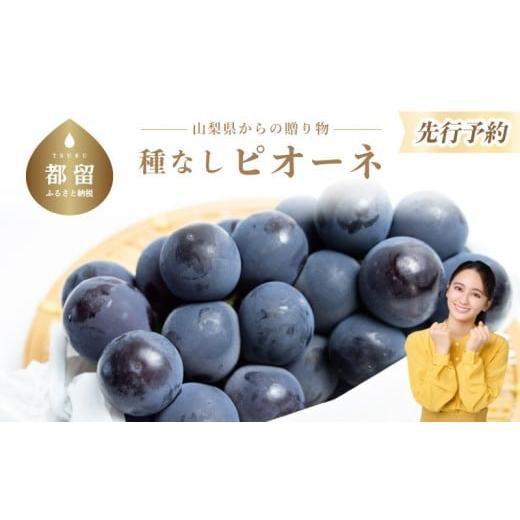 ふるさと納税 ぶどう 山梨県 都留市  2026年 先行予約 山梨県産 種なしピオーネ2〜3房(約1...