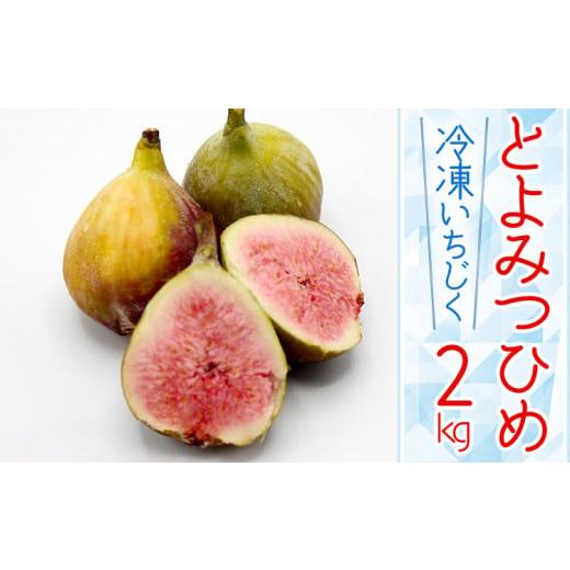 ふるさと納税 福岡県 赤村 【福岡県産】冷凍とよみつひめ（イチジク） 2kg（1kg×2） 2L8