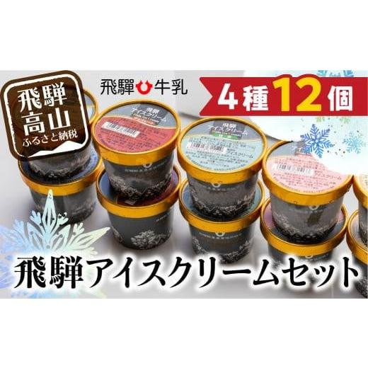 ふるさと納税 岐阜県 高山市 飛騨牛乳 アイス アイスクリーム 12個入り 夏 HACCP 乳製品 ...