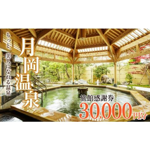 ふるさと納税 宿泊券 温泉 新潟県 新発田市 旅行券 月岡温泉 利用券 感謝券 30,000円分 (...