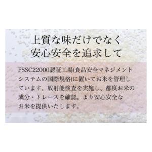 ふるさと納税 無洗米 新潟県 南魚沼市 定期便...の詳細画像4