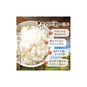 ふるさと納税 米 ひとめぼれ 岩手県 奥州市 ...の詳細画像3