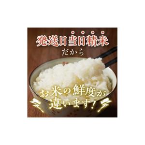 ふるさと納税 米 ひとめぼれ 岩手県 奥州市 ...の詳細画像4