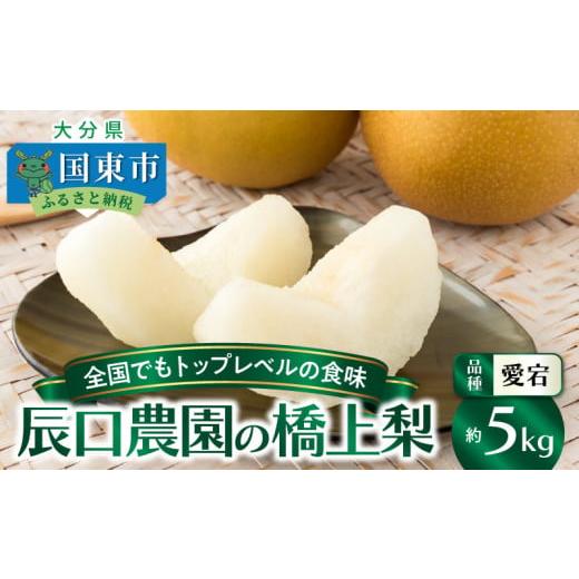ふるさと納税 梨 大分県 国東市  先行予約 令和7年発送 ／辰口農園の橋上梨約5kg(品種:愛宕)...
