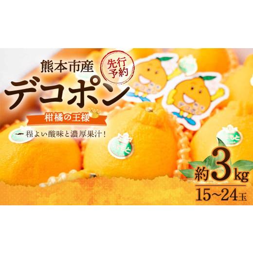 ふるさと納税 みかん・柑橘類 デコポン 熊本県 熊本市 デコポン 約3kg (15〜24玉) 果物 ...