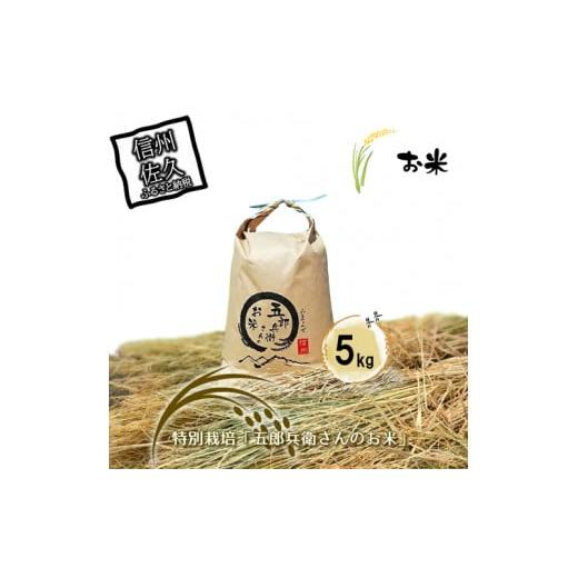 ふるさと納税 米 コシヒカリ 長野県 佐久市  令和7年産・白米5kg 「五郎兵衛さんのお米」 20...
