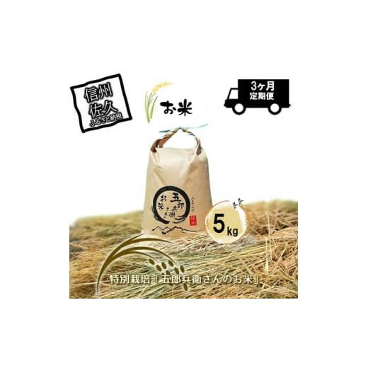 ふるさと納税 米 コシヒカリ 長野県 佐久市  令和7年産・白米5kg×定期便3ヶ月 「五郎兵衛さん...