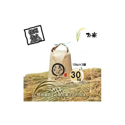 ふるさと納税 米 コシヒカリ 長野県 佐久市  令和7年産・白米30kg（10kg×3） 「五郎兵衛...