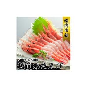 ふるさと納税 福井県 若狭町 日本海甘えび 子無し 500g(約50尾)
