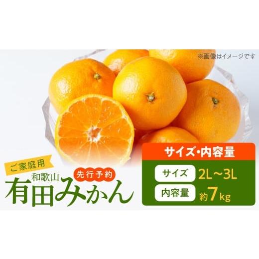 ふるさと納税 果物類 みかん 和歌山県 湯浅町 AT6315_ご家庭用　有田みかん 約7kg (2L...