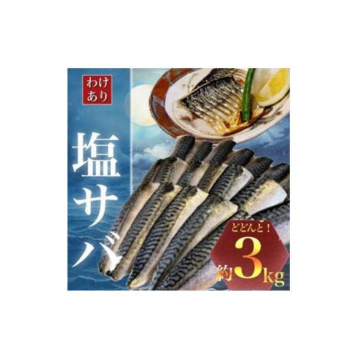 ふるさと納税 千葉県 勝浦市 ＜訳あり＞勝浦市の人気の海鮮お礼品 無添加 塩サバ 3kg【12401...