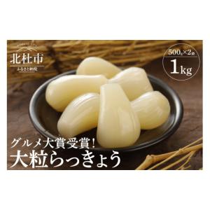 ふるさと納税 梅干・漬物・キムチ 山梨県 北杜市 グルメ大賞受賞 大粒らっきょう　国産無添加　１kg