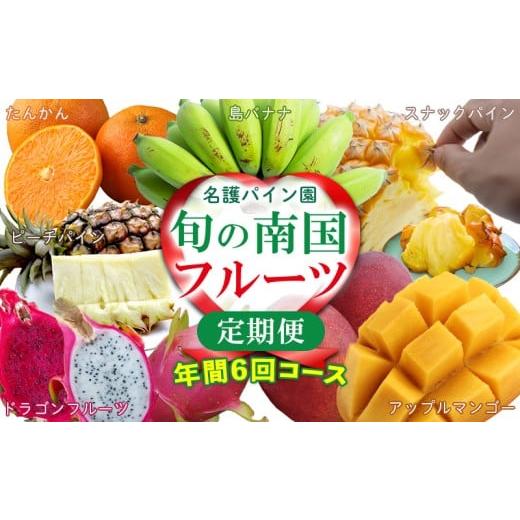 ふるさと納税 果物の詰合せ 沖縄県 名護市  名護パイン園 旬の南国フルーツ定期便（6回コース） 沖...