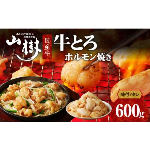 ふるさと納税 牛肉 ホルモン 愛知県 小牧市 山樹の国産牛とろホルモン焼き（味付／タレ）　600g
