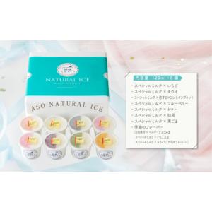ふるさと納税 菓子 アイス 熊本県 阿蘇市 阿...の詳細画像2