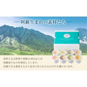 ふるさと納税 菓子 アイス 熊本県 阿蘇市 阿...の詳細画像5