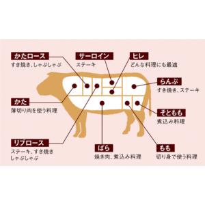 ふるさと納税 牛肉 サーロイン 長崎県 西海市...の詳細画像4