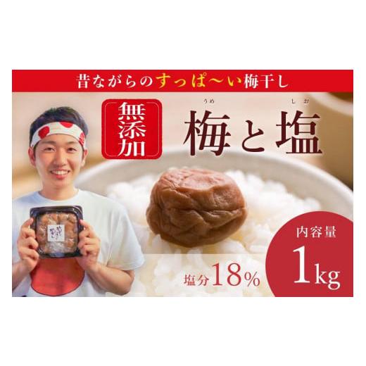 ふるさと納税 加工品等 梅干 和歌山県 みなべ町  無添加梅干し ミネラル豊かな天日塩だけで漬けた梅...