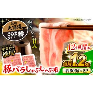 ふるさと納税 豚肉 バラ 長崎県 西海市  月1回約1.2kg×12回定期便 大西海SPF豚 バラ（しゃぶしゃぶ用）計14.4kg 訳あり 大西海ファーム CEK122｜ふるさとチョイス