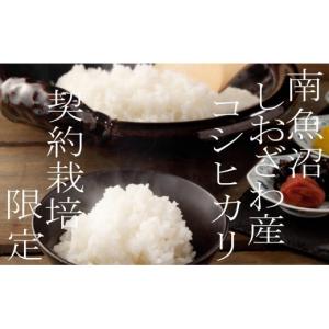 ふるさと納税 米 コシヒカリ 新潟県 南魚沼市 令和7年産 定期便 契約栽培限定 南魚沼しおざわ産コシヒカリ20Kg×12ヶ月