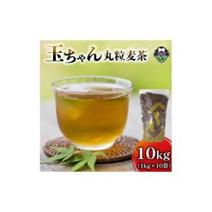 ふるさと納税 お茶類 静岡県 藤枝市 麦茶 玉...の詳細画像1