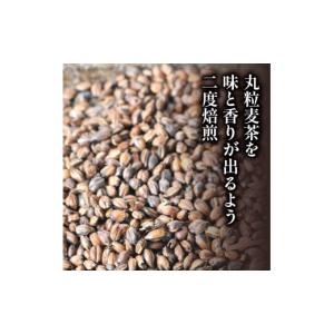 ふるさと納税 お茶類 静岡県 藤枝市 麦茶 玉...の詳細画像2
