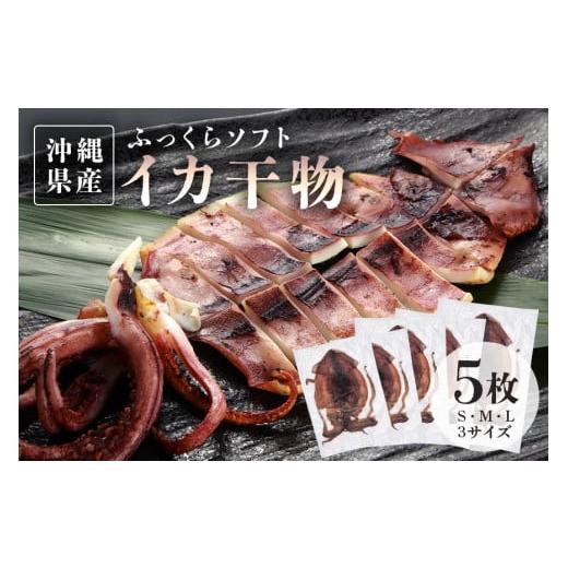 ふるさと納税 イカ 沖縄県 糸満市  海人（漁師）のまち 沖縄県産イカのふっくらソフト干物５枚セット