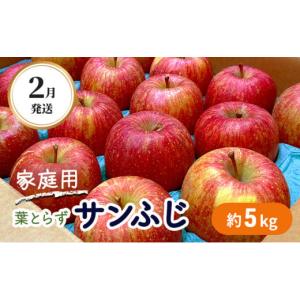 ふるさと納税 青森県 弘前市 2月発送 家庭用 葉とらず サンふじ 約5kg【弘前市産・青森りんご】｜ふるさとチョイス