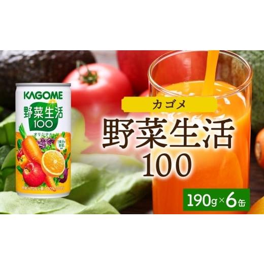 ふるさと納税 栃木県 那須塩原市 カゴメ 野菜生活100 オリジナル 190g × 6缶 野菜 果実...