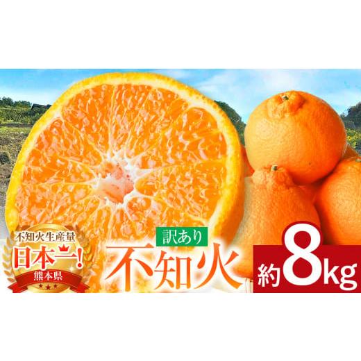 ふるさと納税 みかん・柑橘類 デコポン 熊本県 玉名市 ご家庭用 不知火 約8kg | フルーツ ...