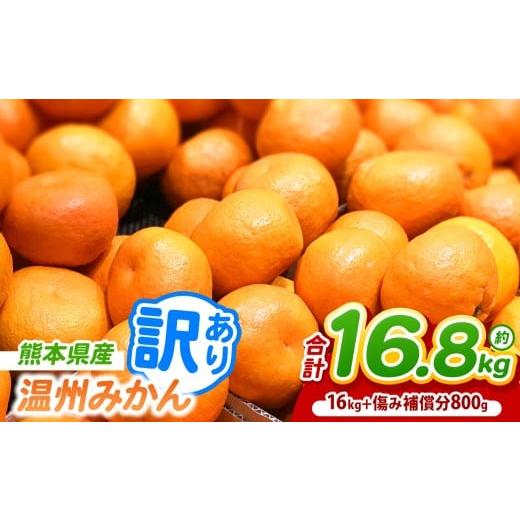 ふるさと納税 果物類 みかん 熊本県 玉名市 訳あり 熊本県産 温州 みかん 約 16.8kg （1...