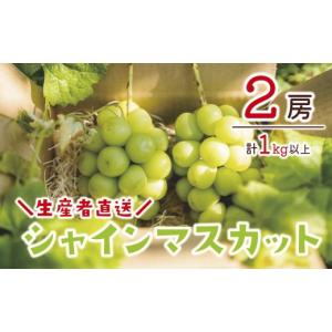 ふるさと納税 長野県 須坂市 [No.5657-2876]生産者直送　シャインマスカット1kg以上（2房）《信州すざか ともよファーム》■2023年発送■※9月中旬頃〜10月中…