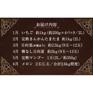ふるさと納税 ぶどう マスカット 宮崎県 新富...の詳細画像2