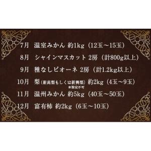 ふるさと納税 ぶどう マスカット 宮崎県 新富...の詳細画像3