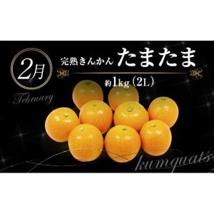 ふるさと納税 ぶどう マスカット 宮崎県 新富...の詳細画像4