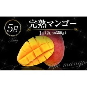 ふるさと納税 ぶどう マスカット 宮崎県 新富...の詳細画像5