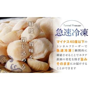 ふるさと納税 魚貝類 ホタテ 北海道 別海町 ...の詳細画像5