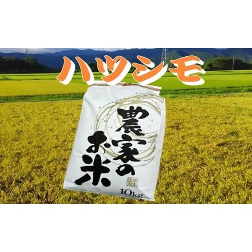 ふるさと納税 岐阜県 池田町 池田町農家　令和5年産特別栽培米ハツシモ　10kg　白米 [No.56...