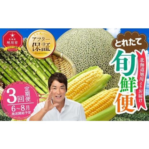 ふるさと納税 セット・詰合せ 北海道 旭川市  2026年発送先行予約 とれたて旬鮮便〜北海道旭川市...