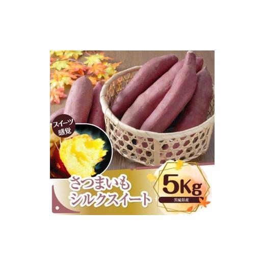 ふるさと納税 野菜類 サツマイモ 茨城県 行方市 さつまいも　特選シルクスイート 約5kg｜さつまい...