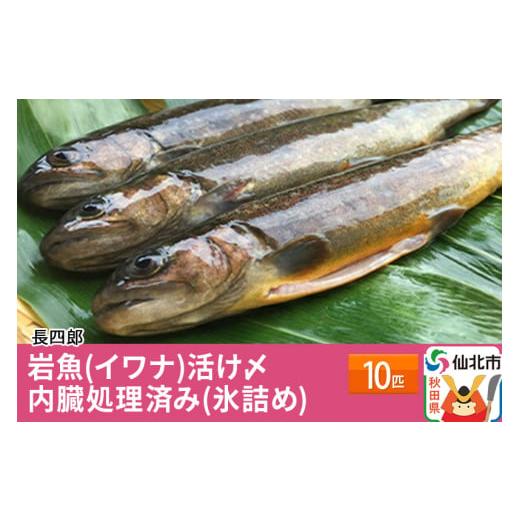 ふるさと納税 秋田県 仙北市 岩魚（イワナ）活け〆10匹　内臓処理済み（氷詰め）　10匹