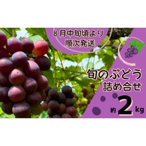 ふるさと納税 果物類 ぶどう 兵庫県 宍粟市 Y2　ぶどう の 詰合せ　約 2kg ブドウ 葡萄 詰め合わせ セット 贈答 藤稔 紫玉 ピオーネ シャインマスカット ギフ…