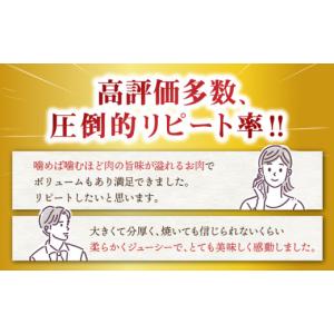 ふるさと納税 牛肉 ヒレ 長崎県 西海市 12...の詳細画像2