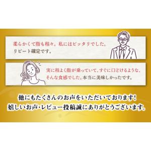 ふるさと納税 牛肉 ヒレ 長崎県 西海市 12...の詳細画像3