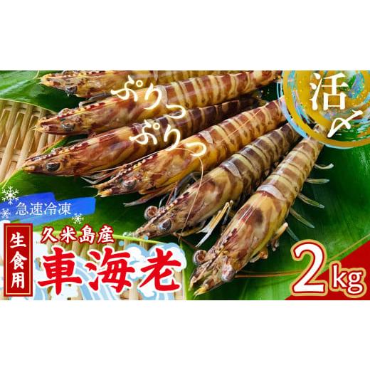 ふるさと納税 エビ 車エビ 沖縄県 久米島町  久米島漁協 活〆冷凍車海老　生食用2kg 海の幸 海...