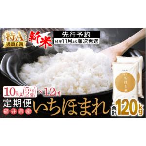 ふるさと納税 福井県 越前町 【新米・先行予約】定期便 ≪12ヶ月連続お届け≫ いちほまれ 10kg × 12回（計120kg）特A通算6回！令和6年 福井県産【お米 計120…｜furusatochoice