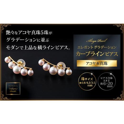 ふるさと納税 アクセサリー ピアス 佐賀県 佐賀市 上品エレガント横並びカーブラインピアス：C186...